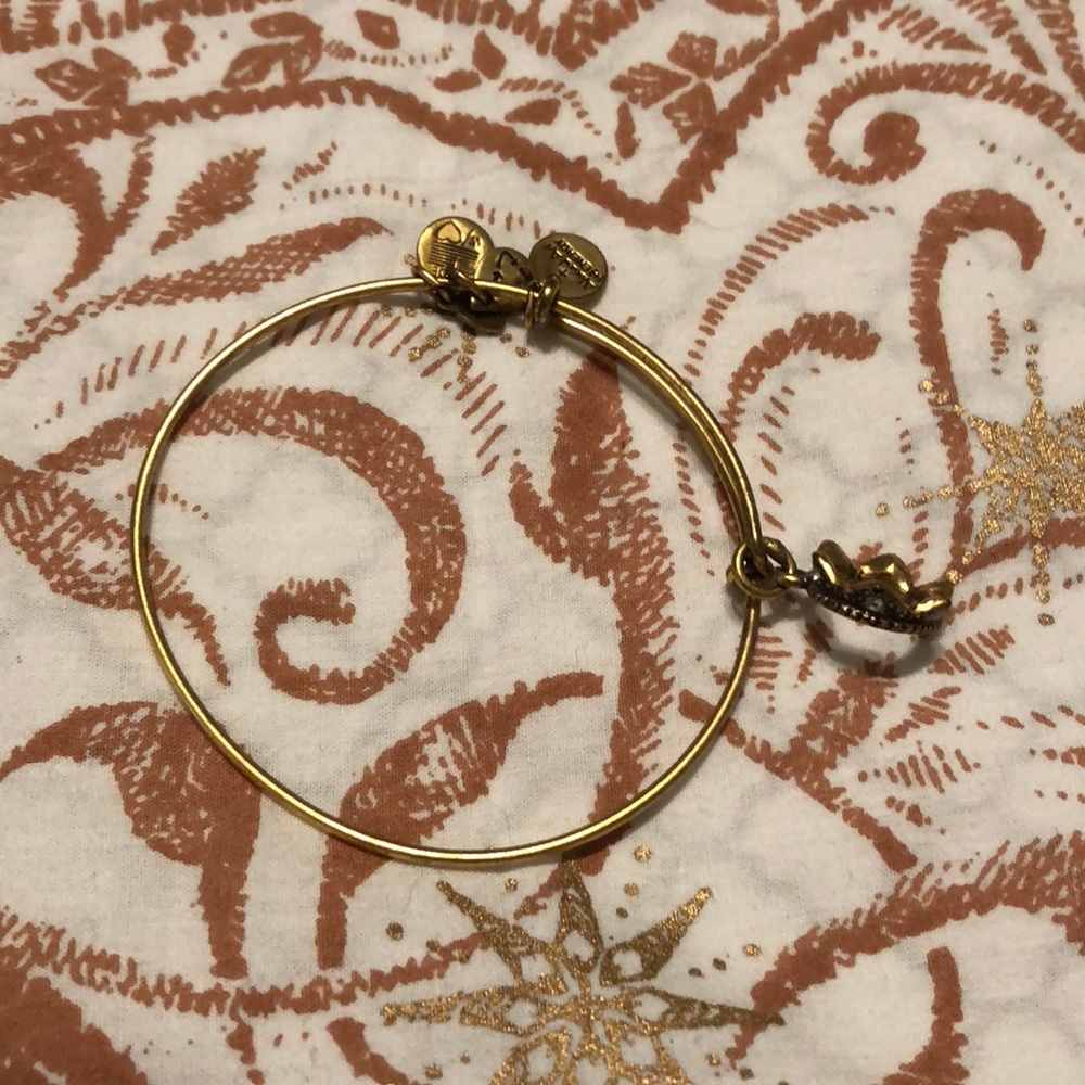 Alex and Ani crown charm
